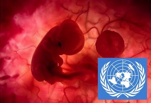 ONU reconhece que o aborto não é direito humano