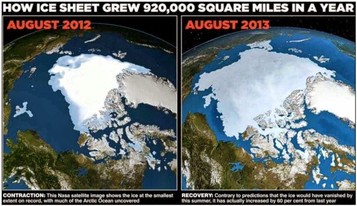 Ártico cresce, ursos não morrem e “verdes” procuram apocalipse na Antártida
