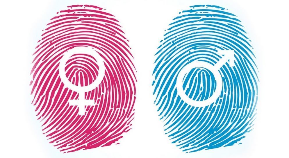 Projeto troca referências a “gênero” por “sexo” na Lei Maria da Penha