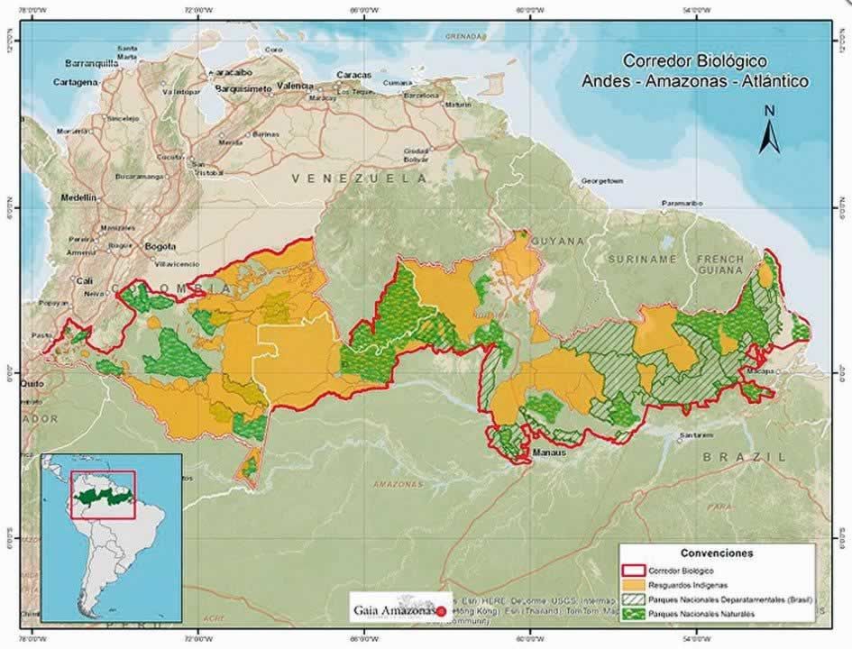 Internacionalização da Amazônia: alerta Comandante do Exército