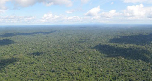 CPI investiga terra indígena em Roraima