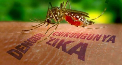 Conferência: Aedes Aegypti e o Zika Vírus são os vilões da Microcefalia?‏