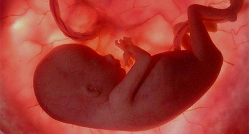 Mais uma decisão do STF contra a vida do nascituro