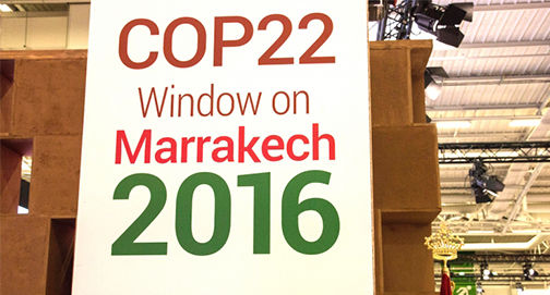 Ambientalismo radical sem rumo na COP22 Promessas de Trump trazem esperança
