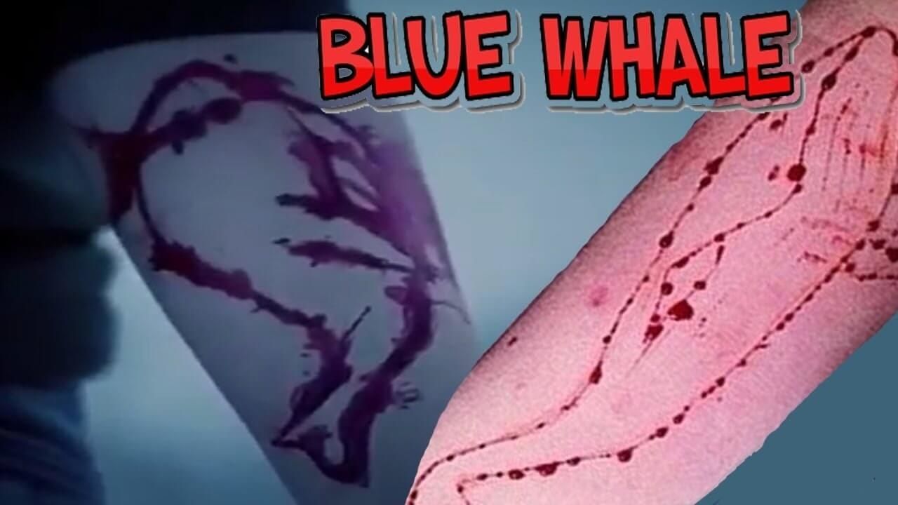 Baleia Azul: o jogo macabro da morte