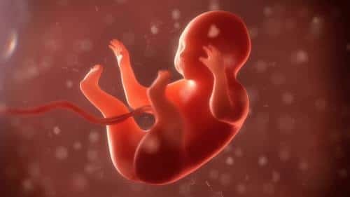 Congresso Mundial de Ginecologia e Obstetrícia ensina a prática do aborto a médicos brasileiros