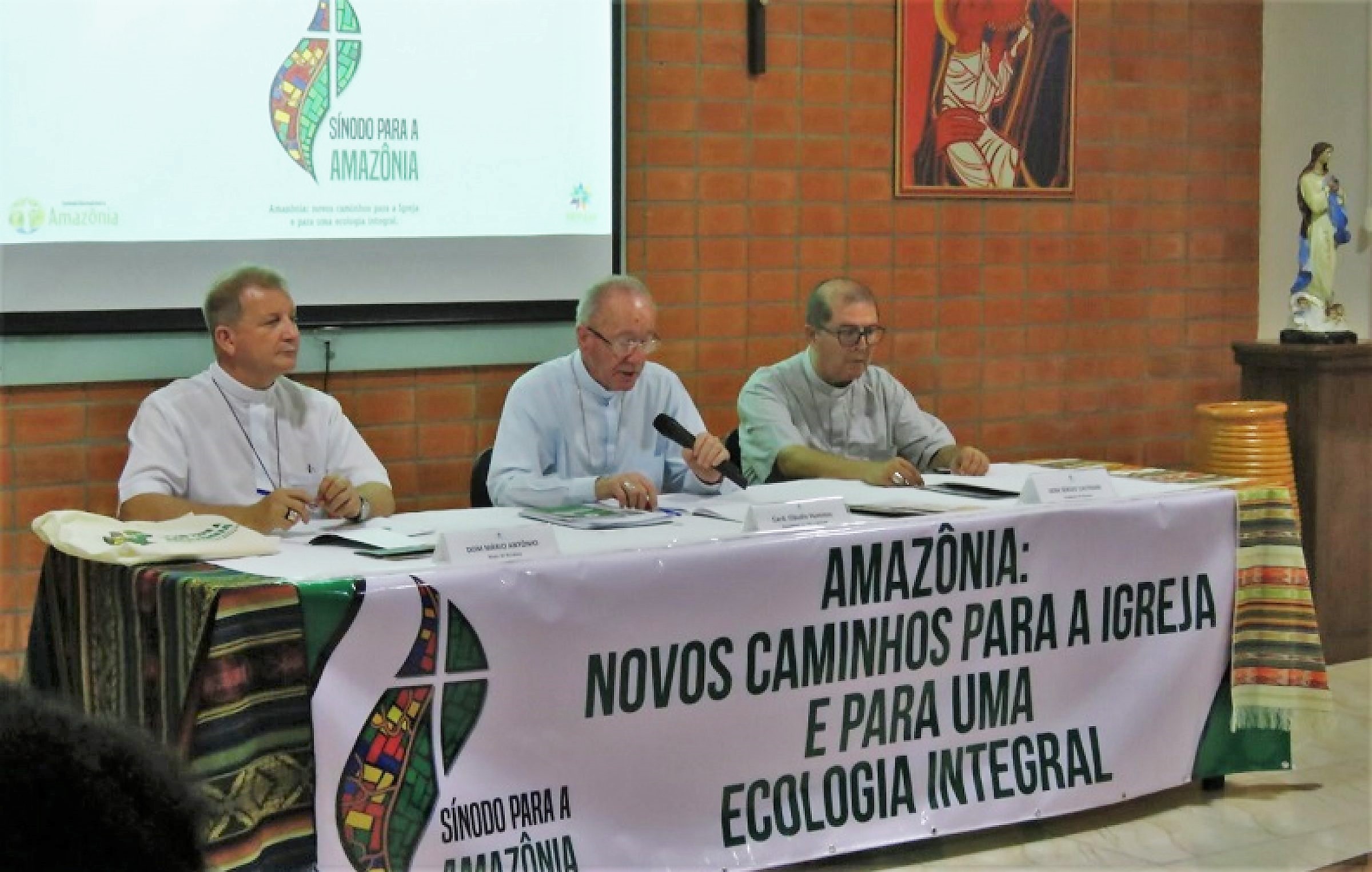 O Sínodo da Amazônia a caminho do socialismo ecológico