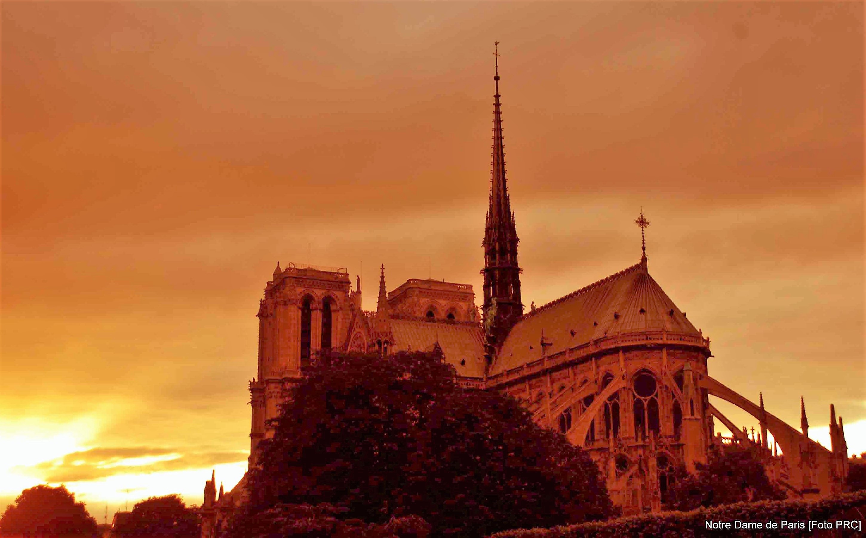Notre Dame de Paris, um olhar, uma virtude