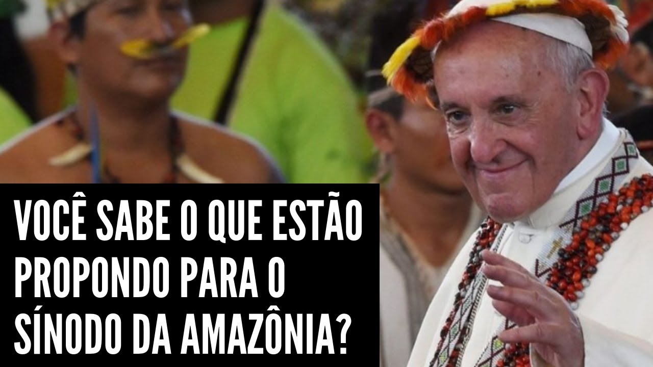 ATENÇÃO: Você sabe o que estão propondo para o Sínodo da Amazônia?