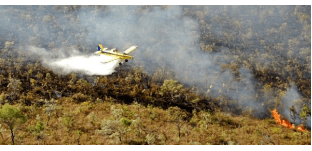 Amazônia: nota do SINDAG apaga incêndio e frenesi da midia