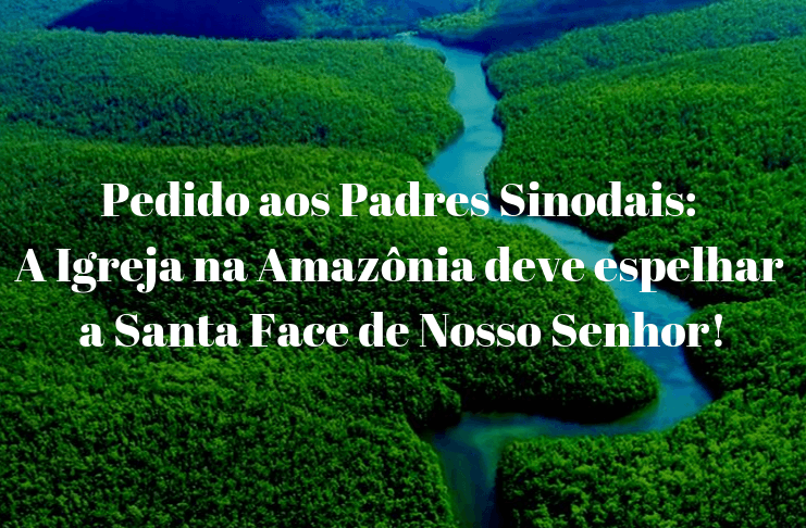 Assine a Petição alertando sobre os perigos do Sínodo da Amazônia