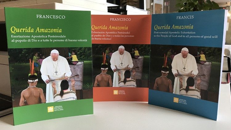 Resistindo aos graves erros da Exortação Apostólica Querida Amazônia do Papa Francisco