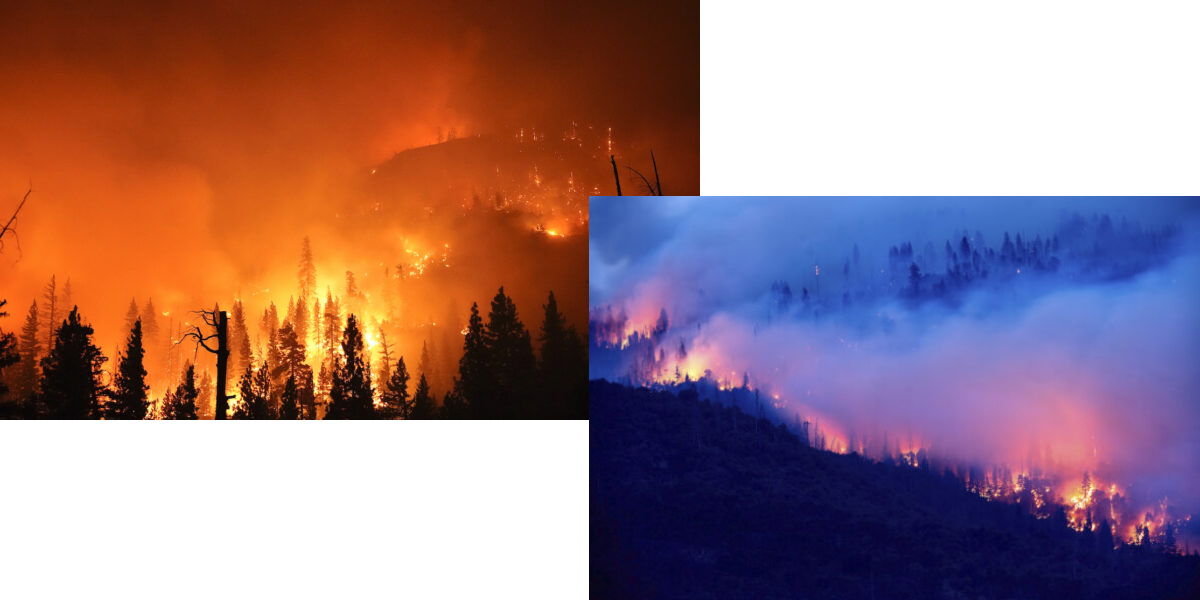 Quando os incêndios são na Califórnia (2 milhões de acres) … a esquerda fica sem face
