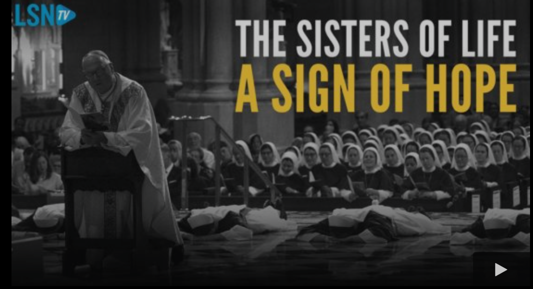“Irmãs pela Vida”: valorização e sacralidade da vida humana