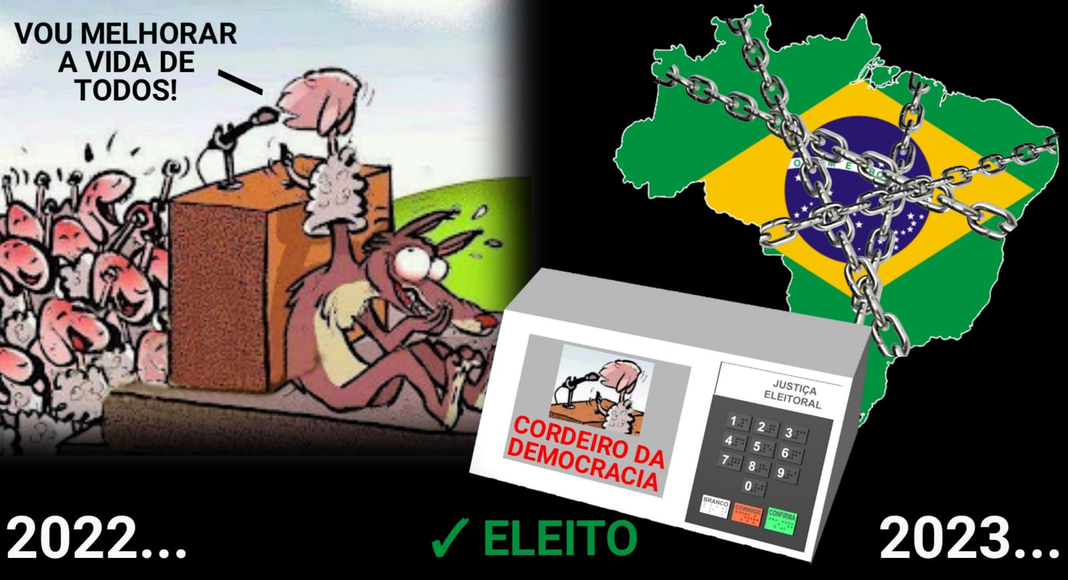 Convite à reflexão: O Eleitor pode salvar o Brasil